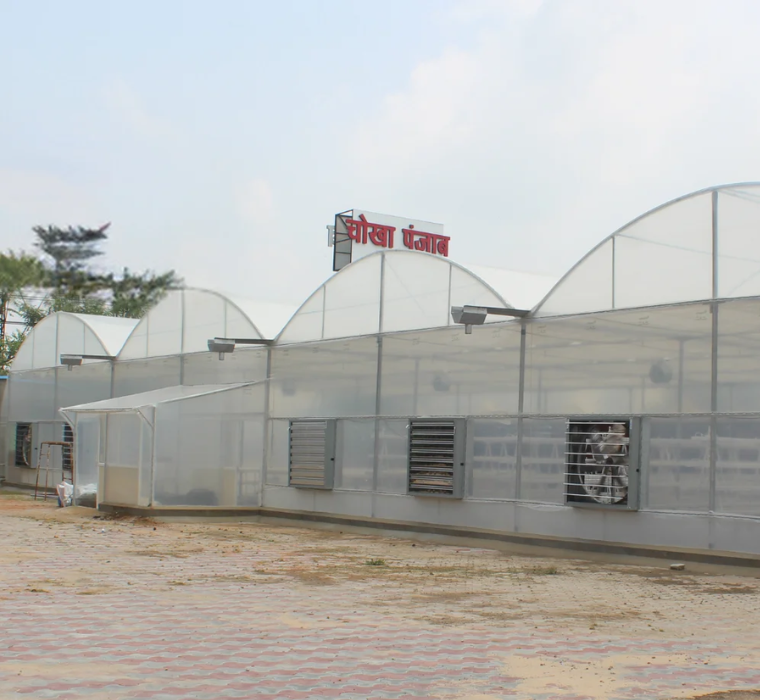 Hydroponic Polyhouse